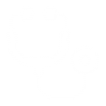 Clinical Operations-Icon Clinical Operations Biorasi