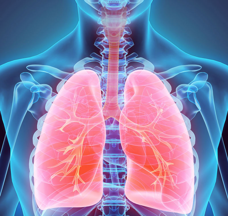Pulmonary Fibrosis Trials Biorasi Pulmonary Fibrosis Trials Biorasi